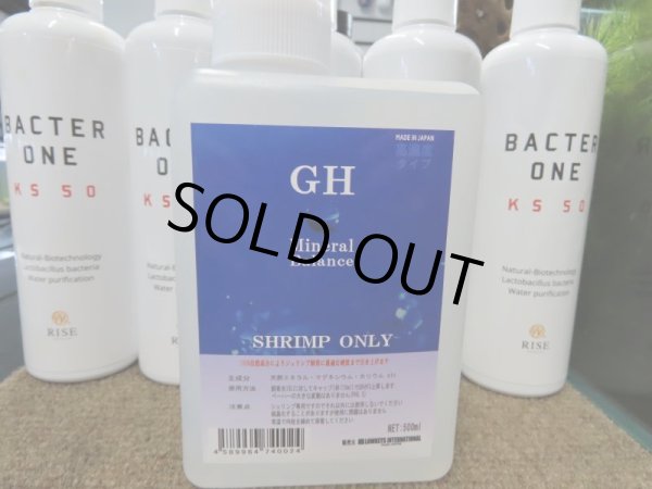 画像1: GH mineral balance 500ml (1)